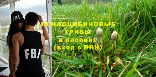 2c-b Михайловск