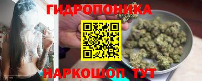 прущие грибы Волжск