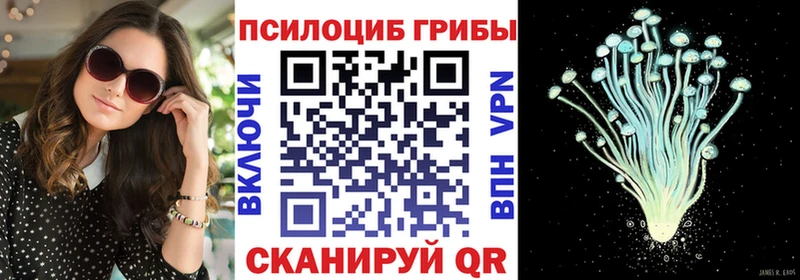 Псилоцибиновые грибы мухоморы  hydra как зайти  Джанкой  сколько стоит 