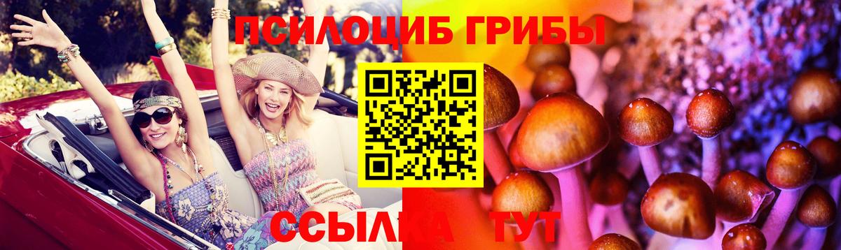 Джанкой  Псилоцибиновые грибы Magic Shrooms  Галлюциногенные грибы мицелий  где купить наркотик  Вход с VPN 